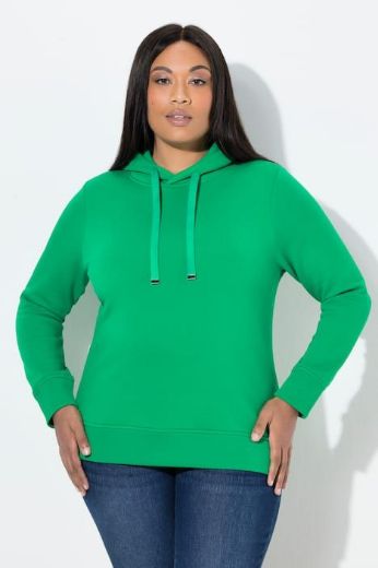 Plus size veliki brojevi Majica dugih rukava s kapuljačom za punije