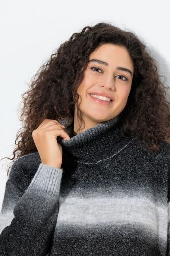 Plus size veliki brojevi Pulover dugih rukava za punije